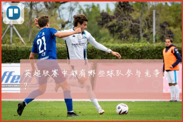 英超联赛中都有哪些球队参与竞争？